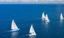 扬起努力的风帆