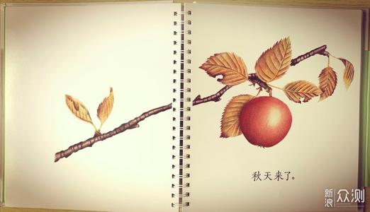 成长经历
