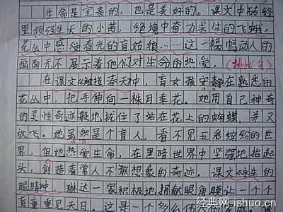 小兵张嘎的思想