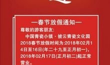 今年春节看我的