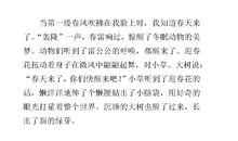 我爱春天作文300字