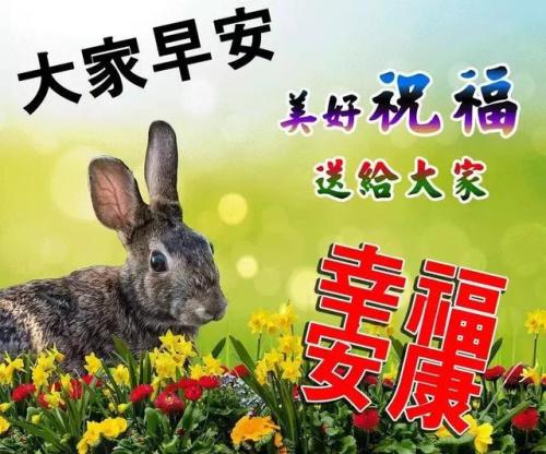 珍惜生命中的每一个辉煌
