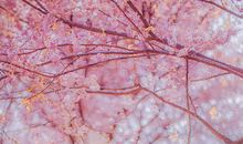 这个四月有你真好