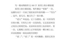 贪吃的小猫作文400字