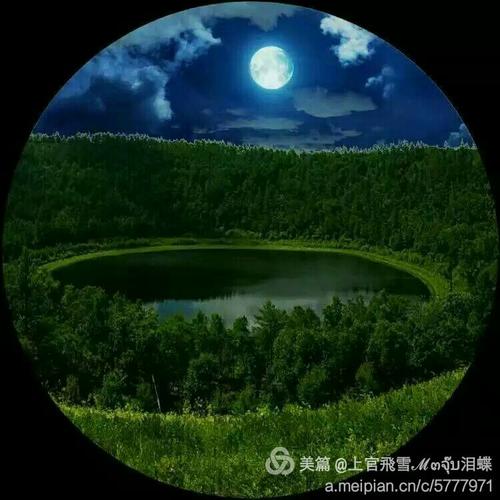 生活中的绿洲