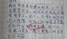 关于错别字的作文