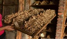 流淌在岁月里的温馨记忆