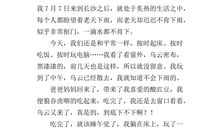 那次幸好有你作文500字