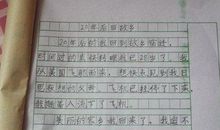 二十年后的家乡600字五年级作文