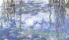 我们的梦何处安放