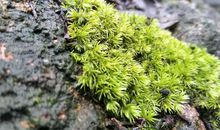 2020年难忘的春节