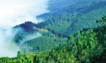 好山好水好风情