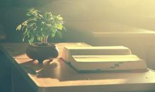 偷得浮生半日闲