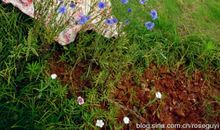 迟到的“六一”