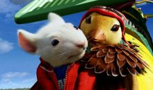 精灵鼠小弟观后感