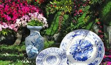 春天在我的眼睛里