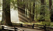 阳光温暖的一天