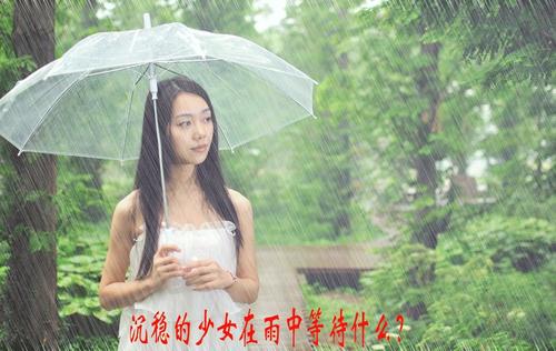 在雨中等待
