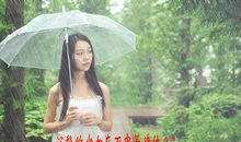 雨中的等待
