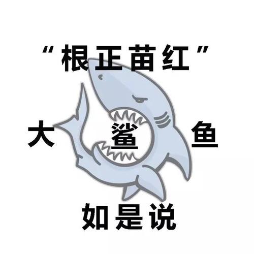 那个暑假