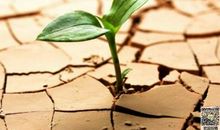 那一次，我摔倒了