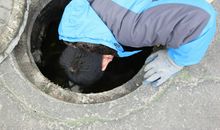 平凡而伟大的人