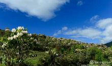 不一样的家乡美