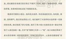 《小鹿斑比》读后感