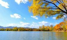 家乡的一处景色