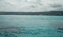 我是海里的一滴水