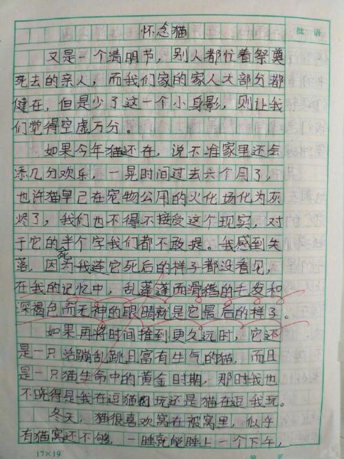 围绕个人特点撰写论文