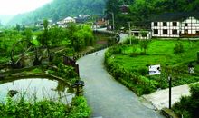 简单美好的乡村生活