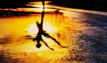 那些阳光明媚的人生