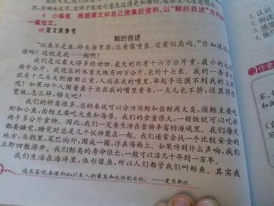 这个人的构成是什么300字