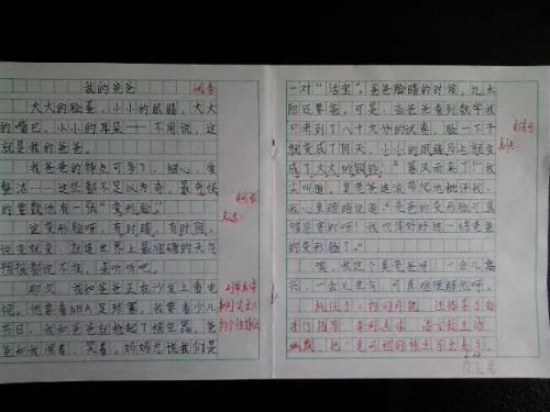 眼睛希望组成