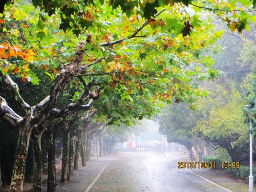 秋雨后的温暖