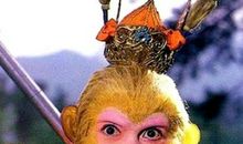 我的偶像孙悟空