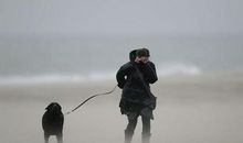 都是狂风暴雨惹的祸