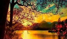 宽容的生活最美好