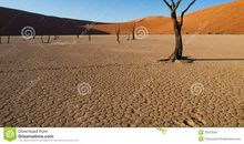 二十年后的沙漠