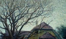 冬天里的一束阳光