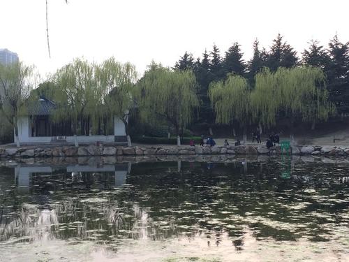 苍梧绿色花园的秋天