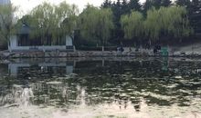 苍梧绿园的秋天