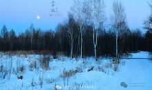 零下三十度，江上漫步