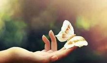 属于自己的幸福