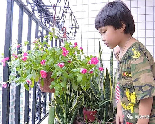 在成长的道路上