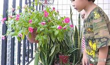 成长路上花香满径