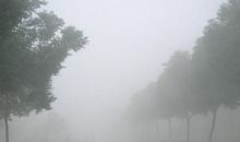 描写晨雾的作文