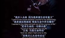 地位不等于生命