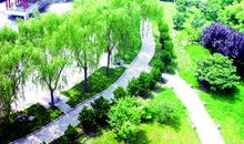 最美的校园一角